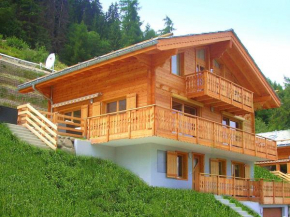 A luxurious 12 person chalet with superb view, Les Collons